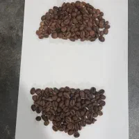 قهوه عمده  میکس  تک دون گلد کلاسیک