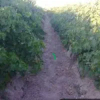 ۲۰۰۰متر باغ فیروزی ۱۵دقیقه آب درجوار طرح هادی