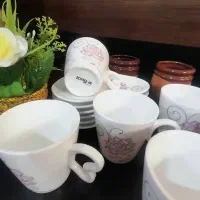 ظرف وظروف پذیرایی نو