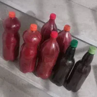 رب خانگی
