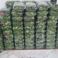 سبزی خوردن بسته بندی پاک شده