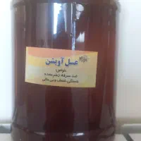 عسل /شیره انگور/سرکه سیب/سکنجبین/چهارشیره|خوردنی و آشامیدنی|اصفهان, احمدآباد|دیوار