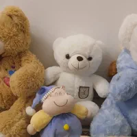 تعداد ۲۰ عدد عروسک در حد نو|اسباب‌‌بازی|اردبیل, |دیوار