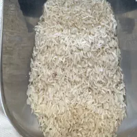 برنج تایلندی محسن «کالابرگ»