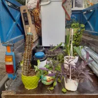 نیسان بار+ حمل بار +باربری سریع+بسته بندی ایمن +|خدمات حمل و نقل|تهران, سبلان (لشگر)|دیوار