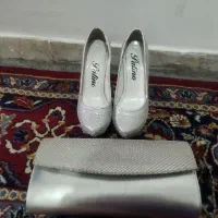کیف و کفش مجلسی ست