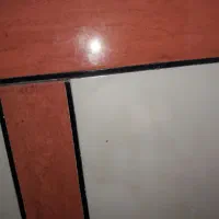 کار پاره وقت