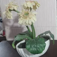 گلدان سرامیک  با گل مصنوعی  مخصوص  روز مادر|گل مصنوعی|بابلسر, |دیوار