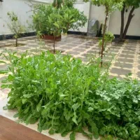 ویلایی-تجاری-مسکونی