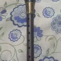 سُرنا