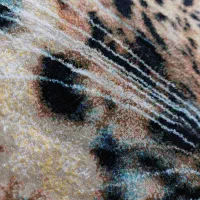 تابلو فرش|تابلو فرش|رشت, سعدی (تختی)|دیوار