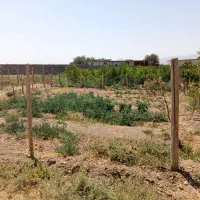 باغ وزمین کشاورزی