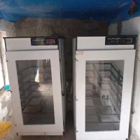 دستگاه جوجه کشی ۱۰۰۵ تایی هدایت