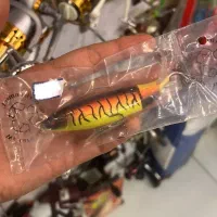 بالا ترین تنوع لور ماهیگیری|ماهیگیری|اصفهان, نقش جهان|دیوار