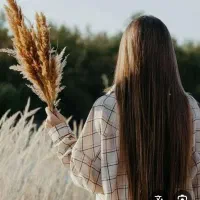 مومیخریم قیمت بالا