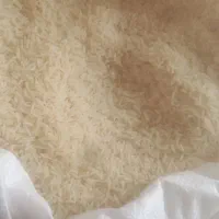 برنج استانه اشرفیه|خوردنی و آشامیدنی|اردبیل, |دیوار