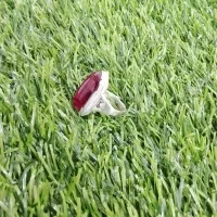 انگشتر یاقوت سرخ|جواهرات|بم, |دیوار