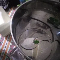 چرخ گوشت پلو پز و سبزی خرد کن|سایر لوازم برقی|بجنورد, |دیوار