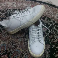 کتونی ونس اورجینال