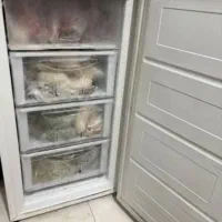 فریزر دوو|یخچال و فریزر|گرگان, |دیوار