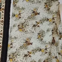 سالم نو|لباس|رشت, ساغری سازان|دیوار