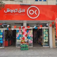 استخدام نیرو در افق کوروش ایثارگران