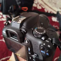 دوربین عکاسی و فیلمبرداری|دوربین عکاسی و فیلمبرداری|تهران, بهار|دیوار