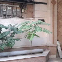 اجاره ایارتمان شیک میدان ده دی|اجارهٔ آپارتمان|مشهد, ده دی|دیوار