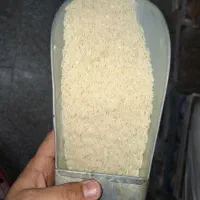 برنج طارم هاشمی مینودشت