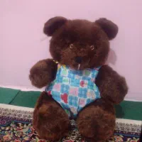 یک عدد عروسک خرس سالم