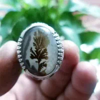 انگشترای کلکسیونی و یک تسبیح کهربا