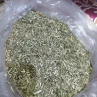 یونجه دیم|لوازم جانبی حیوانات|شیروان (خراسان), |دیوار