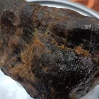 سنگ چوب فسیل شده|کلکسیون اشیاء عتیقه|خرمآباد, |دیوار