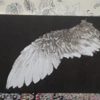 تابلو نقاشی بال پرنده