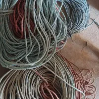 فروش جل میگو|ماهیگیری|درگهان, |دیوار