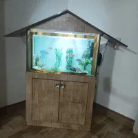 اکواریوم تمیز و سالم بخاطر کمبود جا|ماهی|ابریشم, |دیوار