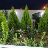 باغچه ای  زیبا  ، دنج  ، امن|اجارهٔ کوتاه‌مدت ویلا و باغ|ورامین, جعفر آباد اخوان|دیوار