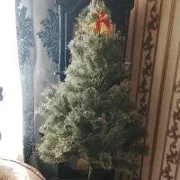 درختچه ی کریسمس خارجی