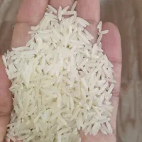 برنج صدری