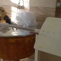 اجاره یک باب مغازه نانوایی سنگکی سنتی|اجارهٔ مغازه و غرفه|خزل, |دیوار