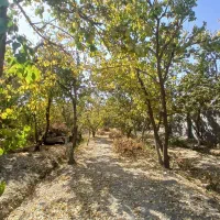 500-متر-پلاک-باغی-امتیازات-اسفهران