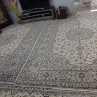 سه تخت فرش دستبافت کاشان ۹ متری یک شکل و نقشه|فرش|تهران, زیبادشت|دیوار