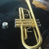 ترومپت(شیپور) پارومنت|سازهای بادی|پیر بکران, |دیوار