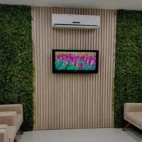 چمن|گل مصنوعی|مشهد, امامیه (شهرک غرب)|دیوار