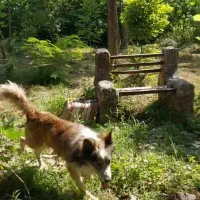 باغ ویلا . کهک