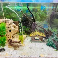 آکواریوم فروشی