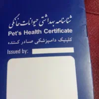 سگ خانگی|سگ|مشهد, بهمن|دیوار