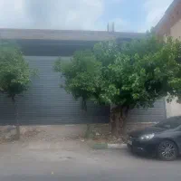 اجاره مغازه