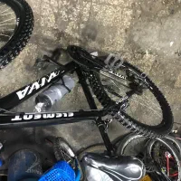 دوچرخه ویوا  مرتب