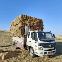 پرس علف